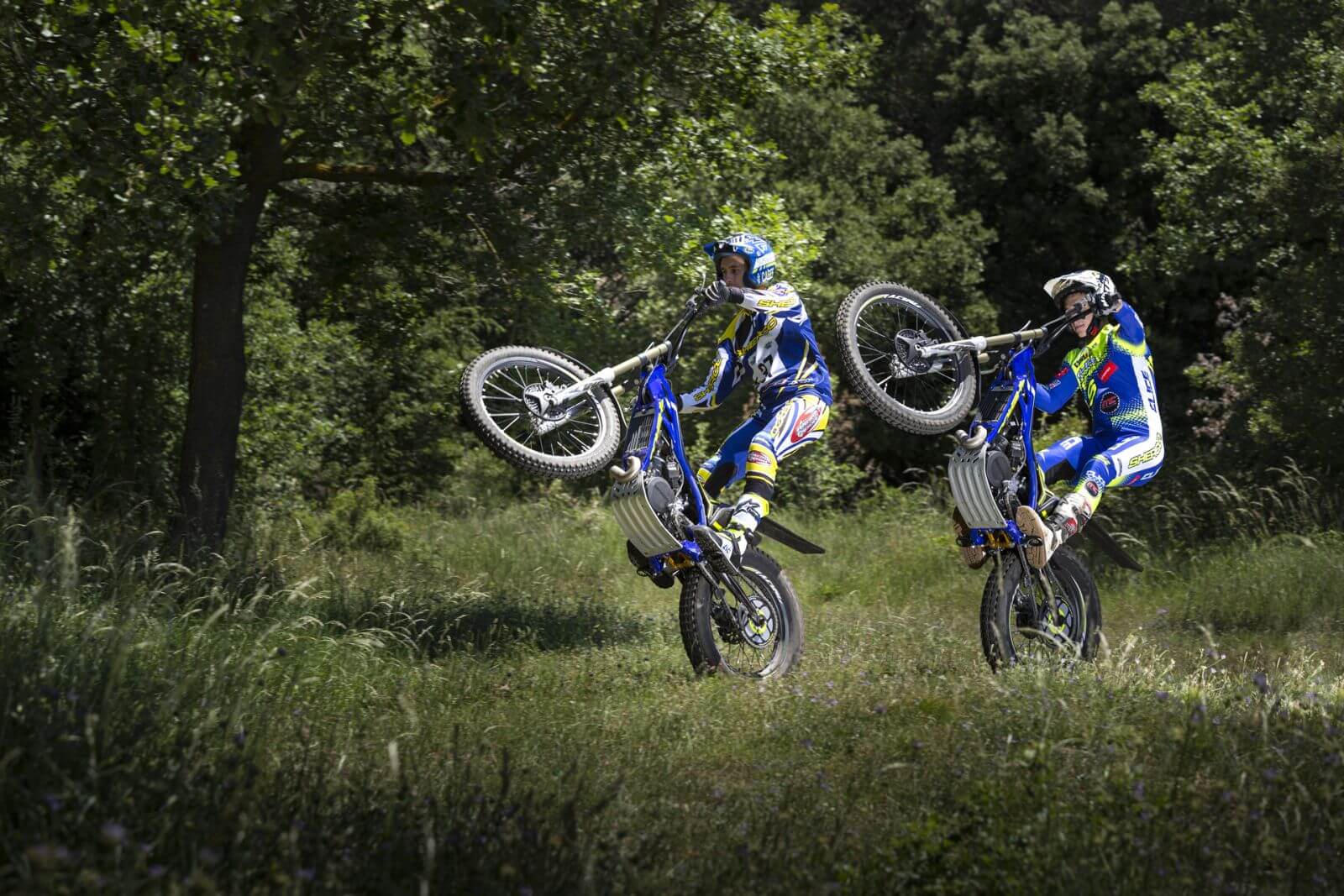Sherco ST RACING 300 view 8